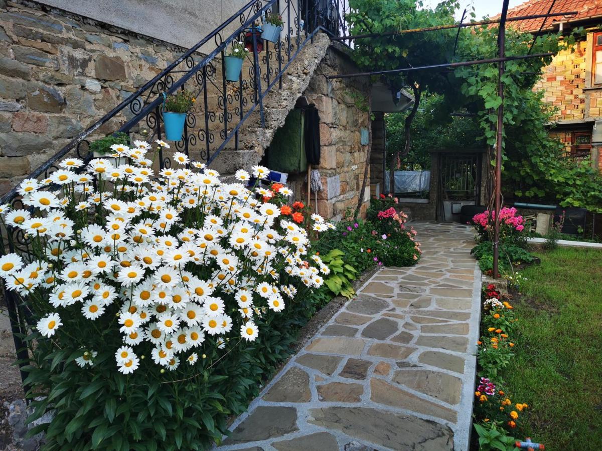 Къща За Гости Виктория Hotel Kotel Exterior photo